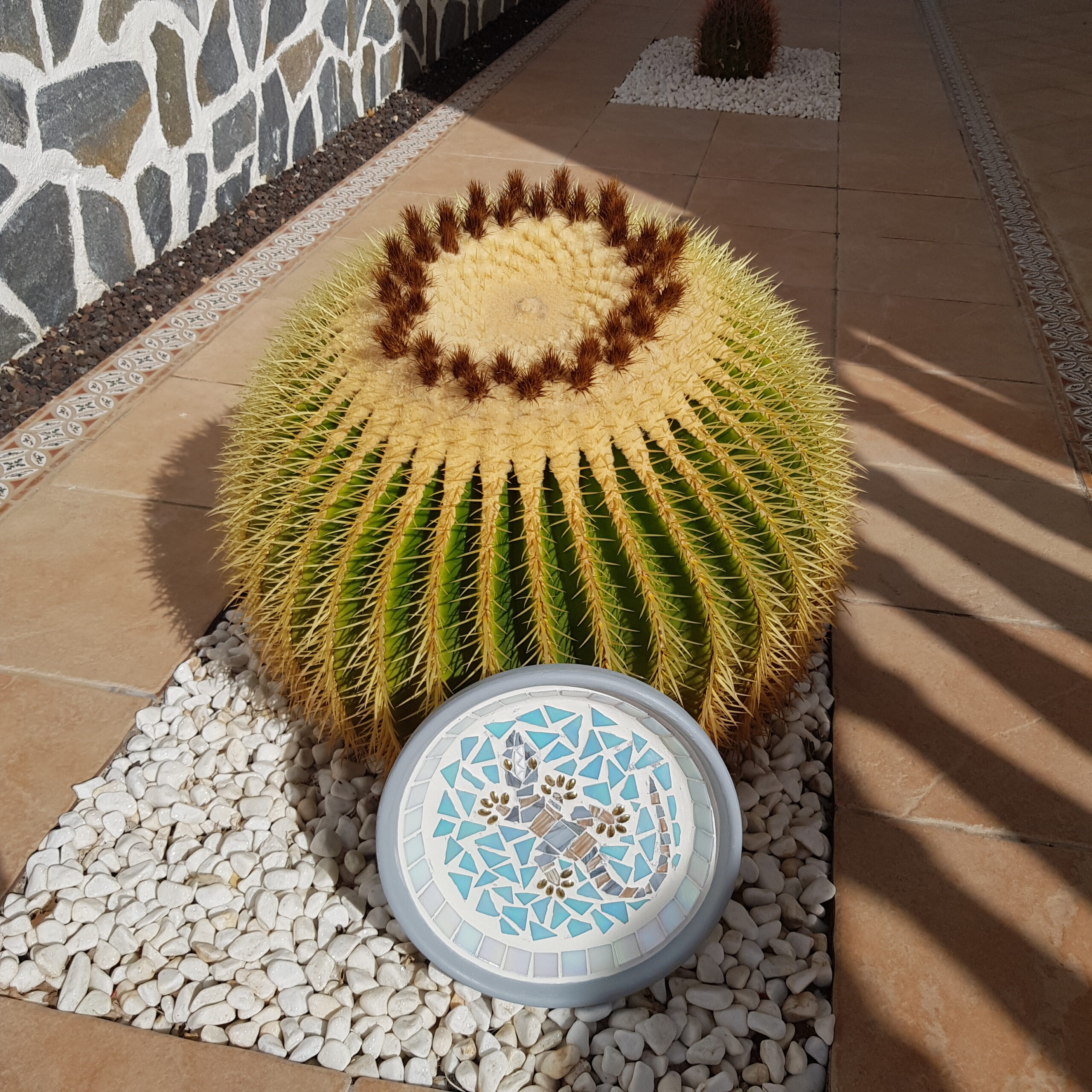 Lizard Mosaic in Plant Saucer - Image 4