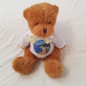 Beach Teddy Bear