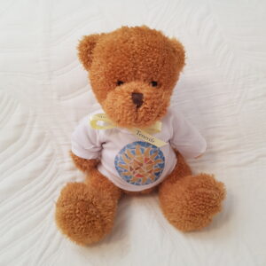 Sun Teddy Bear