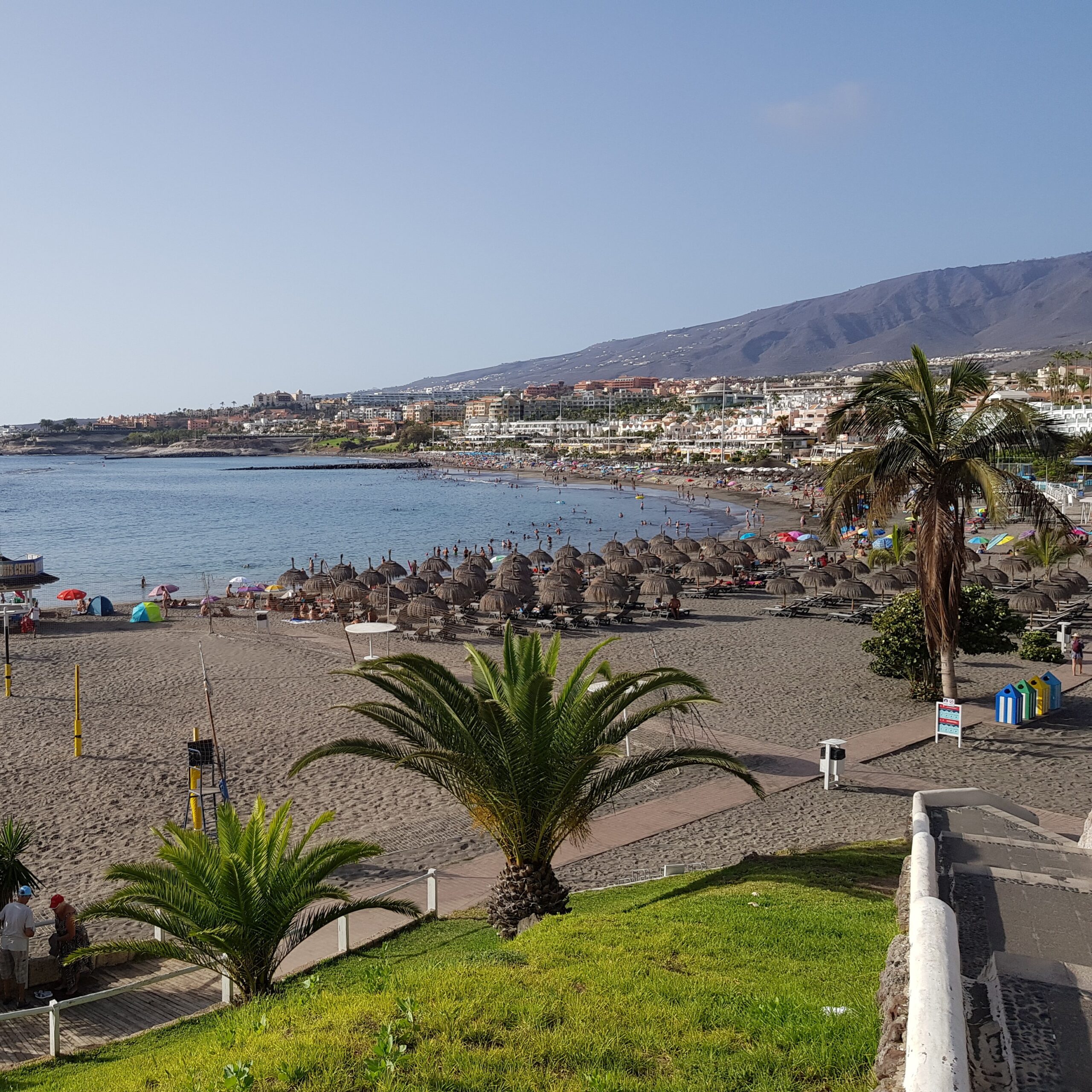 Coastal view with palm trees